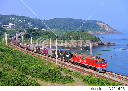 新潟県の日本海沿いを走るEF510-21コンテナ貨物列車 43921668