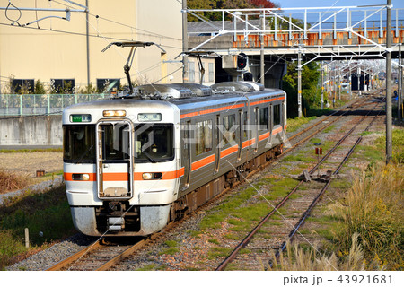 東海道支線を走る313系普通2両 43921681
