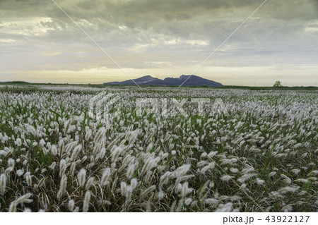 風景 自然 空 43922127