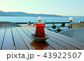 ボスポラス海峡沿いのカフェのトルコ紅茶（チャイ） 43922507