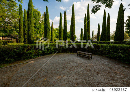 Wooden bench in park with cypress trees, Sirmione 43922587