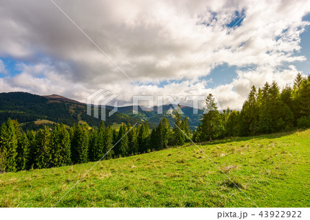 beautiful Carpathian landscape in early autumn beautiful Carpathian landscape in early autumn 43922922
