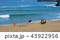 夏の海の終わり 43922956