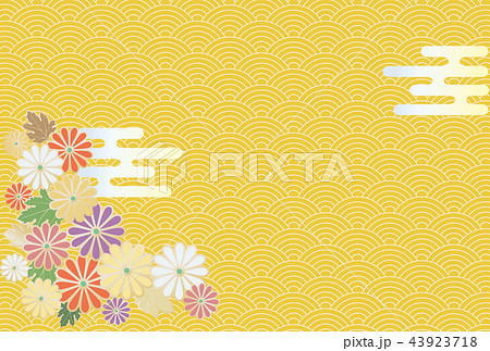 菊の花と日本の伝統模様の背景のイラスト素材 [43923718] - PIXTA