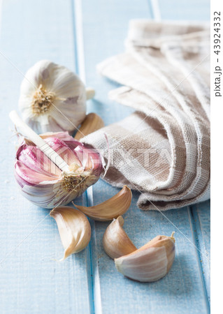 The fresh garlic. The fresh garlic. 43924332
