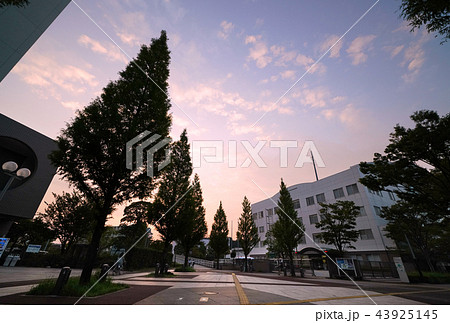 日本の横浜都市景観　センター南駅周辺の街並みを望む（画面右は神奈川県都築警察署) 43925145