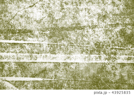 white and olive green paint background texture  43925835