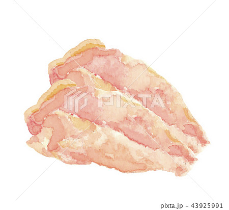 鶏胸肉 生肉のイラスト素材