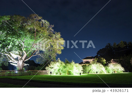 好文亭 偕楽園 夜景 イルミネーション 庭園 好文亭 偕楽園 夜景 イルミネーション 庭園 43926171