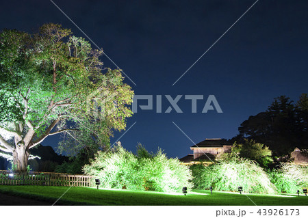好文亭 偕楽園 夜景 イルミネーション 庭園 好文亭 偕楽園 夜景 イルミネーション 庭園 43926173