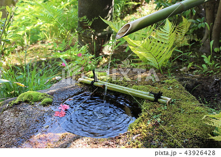 日本庭園 43926428