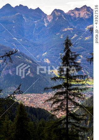 view of Predazzo, in northern Italy 43927536