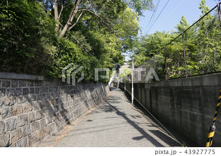 天王寺七坂 43927775