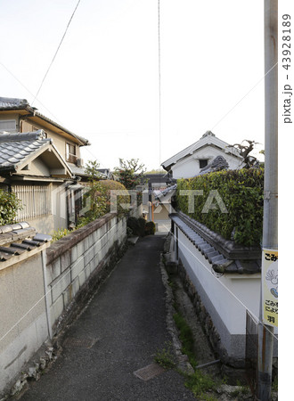 上ノ太子 飛鳥戸神社桜 上ノ太子 飛鳥戸神社桜 43928189