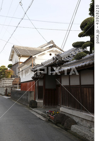 上ノ太子 飛鳥戸神社桜 43928210