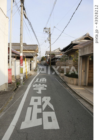 上ノ太子 飛鳥戸神社桜 上ノ太子 飛鳥戸神社桜 43928212