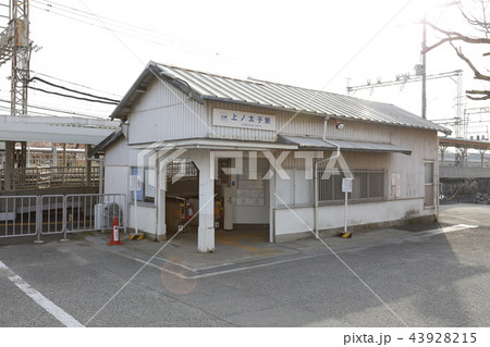 上ノ太子 飛鳥戸神社桜 上ノ太子 飛鳥戸神社桜 43928215