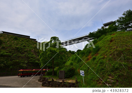 あいかわ公園×ふれあい橋×風景 43928372