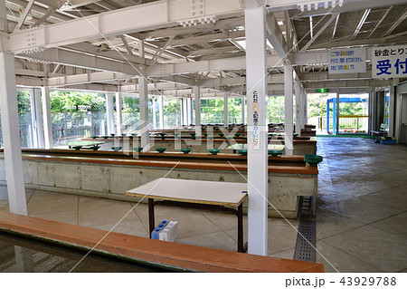 西三川ゴールドパーク（新潟県） 43929788