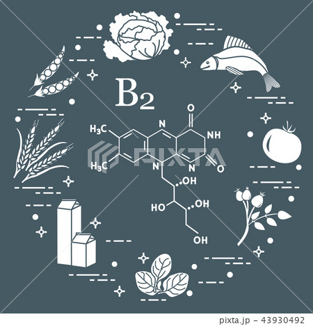 Foods rich in vitamin B2 Fish, peas and other. Foods rich in vitamin B2 Fish, peas and other. 43930492