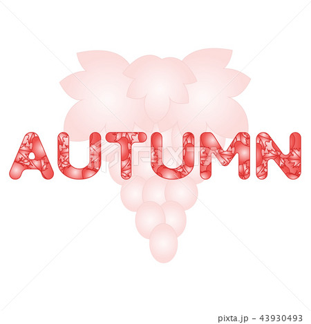 Grapes for wine and juice production Grapes for wine and juice production 43930493