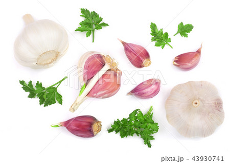 garlic with parsley leaves isolated on white background. Top view. Flat lay pattern 43930741