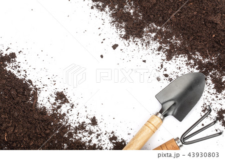 garden tools in soil isolated on white background with copy space for your text. Top view garden tools in soil isolated on white background with copy space for your text. Top view 43930803