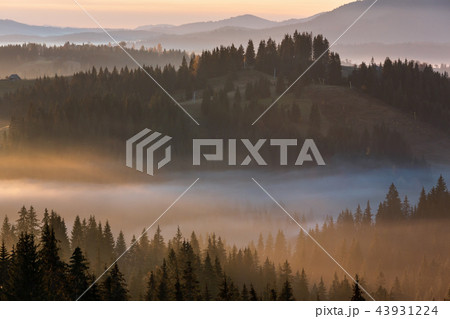 Early morning misty autumn Carpathian mountains Early morning misty autumn Carpathian mountains 43931224