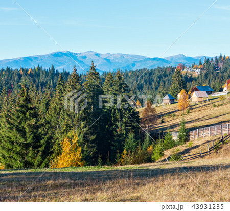 Autumn Carpathian village, Ukraine. 43931235