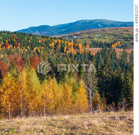 Autumn Carpathian village, Ukraine. 43931237