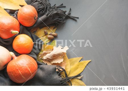 Fall still life, pumpkin, gray scarf on grey board 43931441