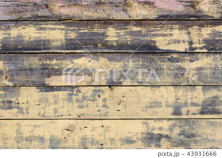 Wall of old wooden planks. Wooden background 43931666