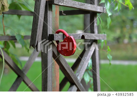 Padlock hanging on a wooden fence 43932585