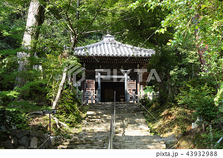 京都　二尊院　法然上人廟 43932988