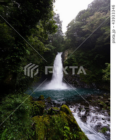 浄蓮の滝 43933346