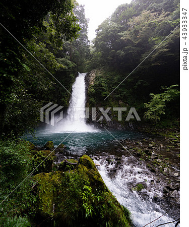 浄蓮の滝 43933347