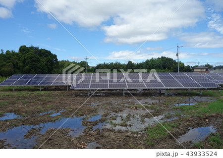 水浸しの太陽光発電所 水浸しの太陽光発電所 43933524