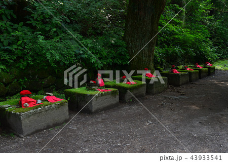 憾満ケ淵へ行きました　　＃38 43933541