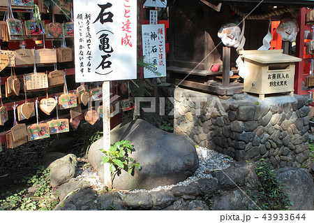 京都　野宮神社　亀石 43933644