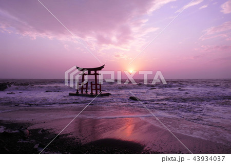 金毘羅神社鳥居 夕景 金毘羅神社鳥居 夕景 43934037