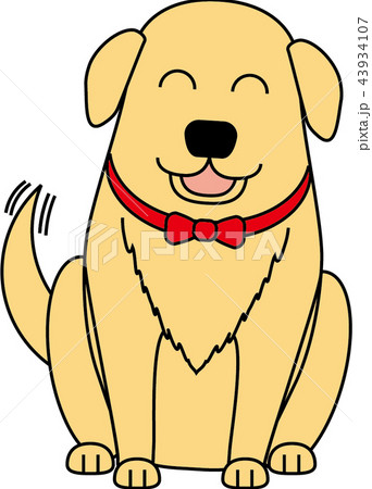 犬・ゴールデンレトリバー 43934107