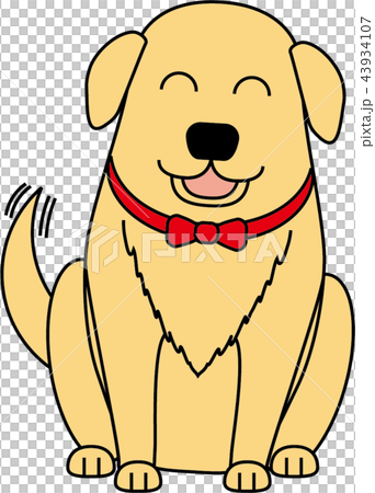 犬・ゴールデンレトリバー 43934107