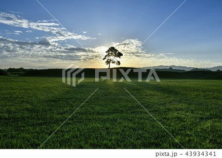 松 清州市 雲 43934341