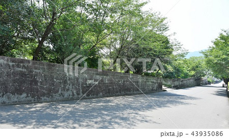 初夏の飫肥城下 初夏の飫肥城下 43935086