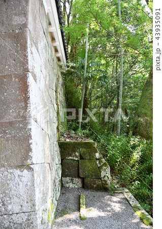 初夏の飫肥城下 43935091