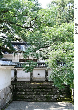 初夏の飫肥城下 43935103