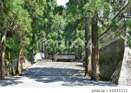 初夏の飫肥城下 43935115
