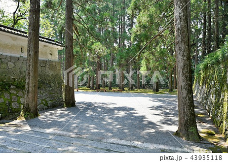 初夏の飫肥城下 43935118