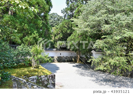 初夏の飫肥城下 初夏の飫肥城下 43935121