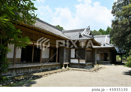 初夏の飫肥城下 43935130